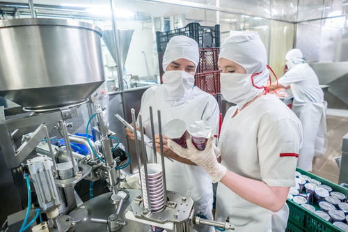 山东省冷冻食品加工产业概览 主要企业与区域分布