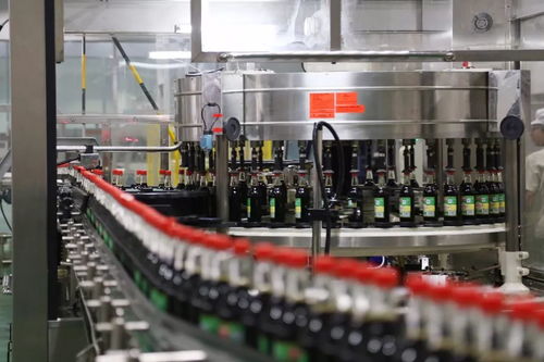 天寒地冻，宁乡食品重点企业生产稳定有序